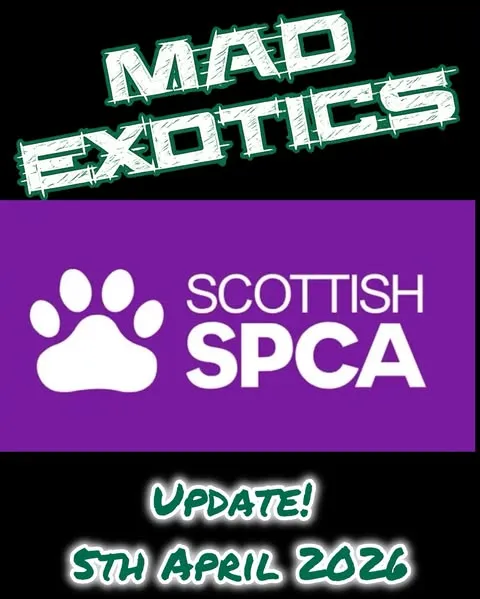 M.A.D Exotics logo, followed by Scottish SPCA logo, with text 'Update! 5th April 2026'